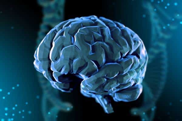 רמת כולסטרול נמוכה זה בריא? לא תמיד ולא בהכרח