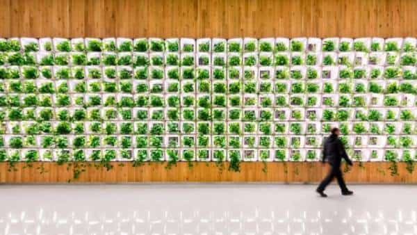 מגמת בנייה חדשה בבנייני משרדים: יצור אנרגיה עצמאי ללא תלות חיצונית