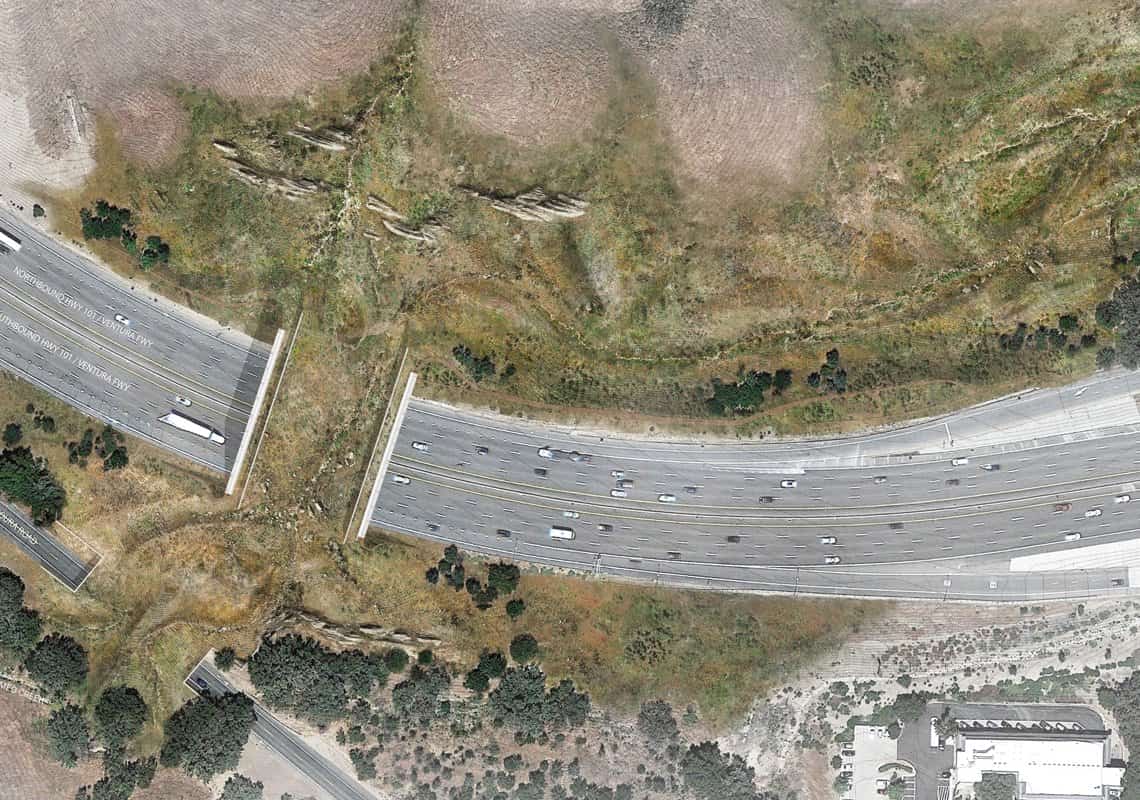 דרום קליפורניה: החלו עבודות הבנייה של המעבר האקולוגי הגדול בעולם