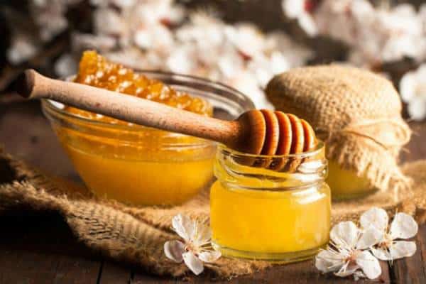 גם אתם יכולים להיות אנטי: הכירו את שלושת המזונות שהטבע חנן בתכונות אנטיביוטיות