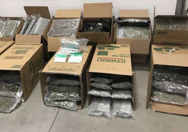 סוכלה הברחת סמים גדולה: עשרות ק"ג קוקאין ומריחואנה הוחבאו ברכב