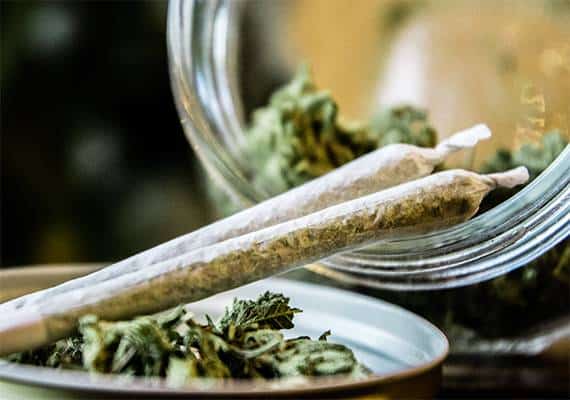 תקדים: הכרעת בית המשפט בפלורידה משנה את מדיניות עישון המריחואנה במדינה