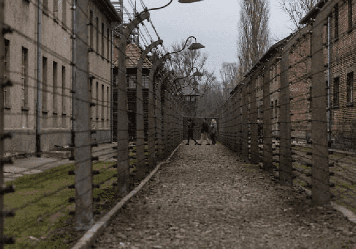 סקר ב-7 מדינות מצא: הרוב מאמינים כי שואת יהודים נוספת עלולה להתרחש בימינו