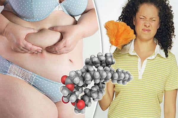 אבק זה משמין: כך תמנעו מחשיפה לאבק ולכימיקלים המשמינים שבחומרי ניקוי 