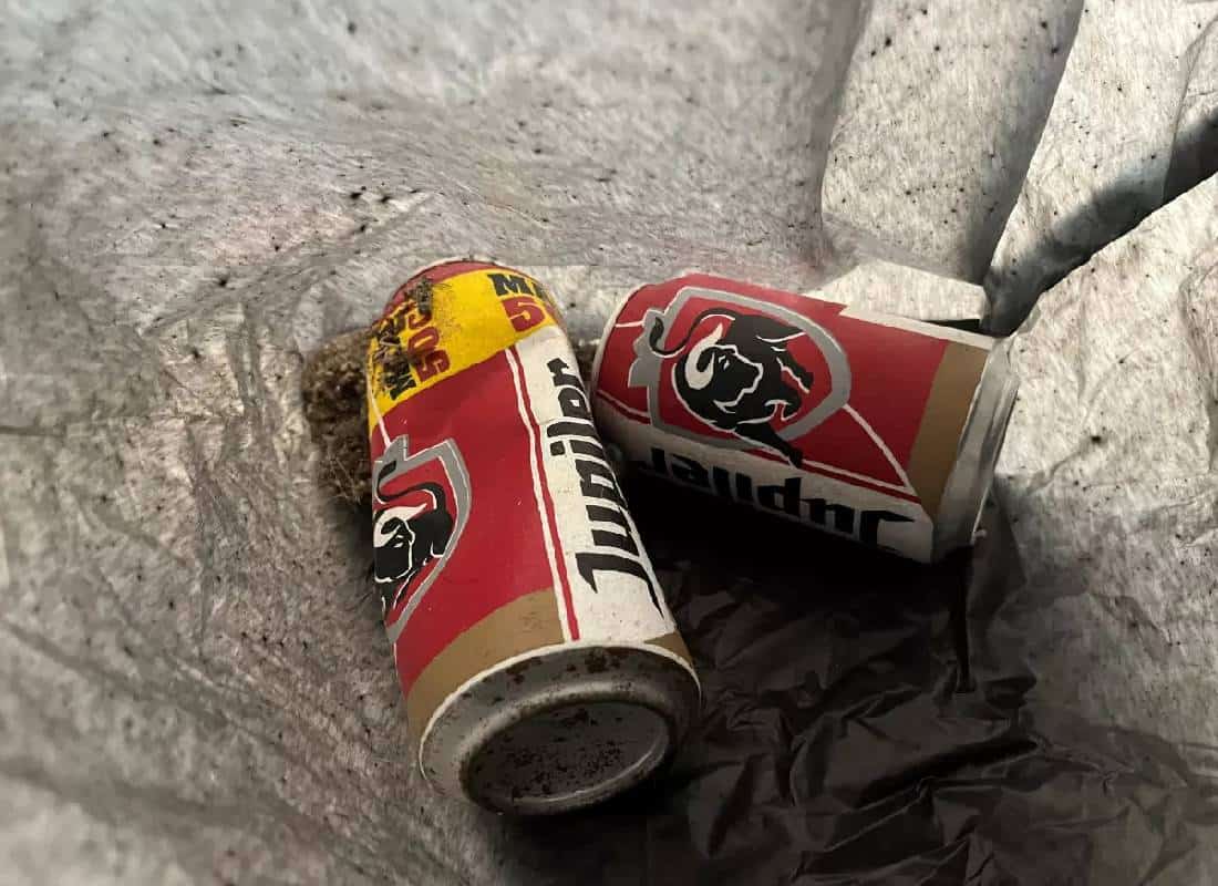 עובד נקיון במוזיאון חשב שיצירת אמנות היא זבל והשליך אותה לאשפה