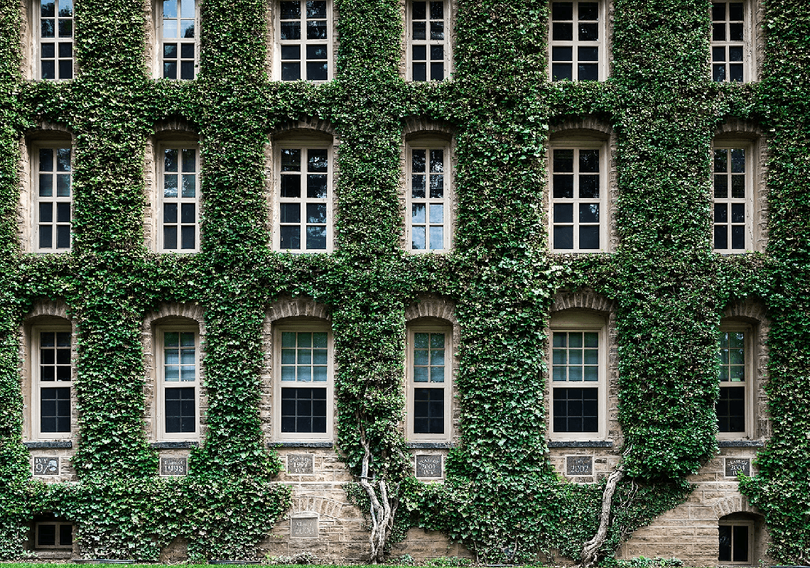 מחשש להתפרצות קורונה: אוניברסיטה בניו ג'רזי תאסור על הסטודנטים לעזוב את המחוז
