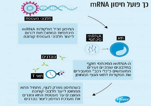 החיסון של פייזר