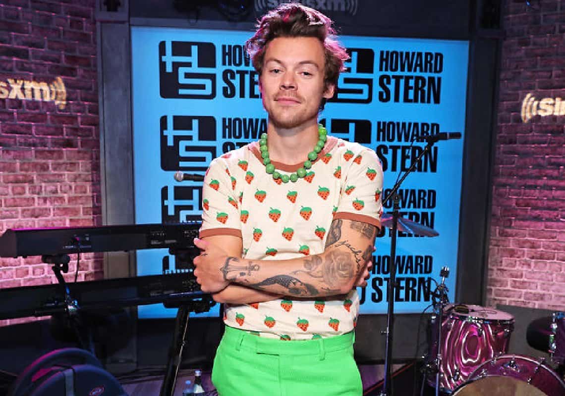 הארי סטילס על הקריירה המצליחה: ״להיות בטלוויזיה ולשיר זה משהו מעולם לא ציפיתי שיקרה"