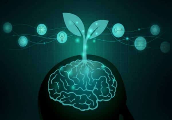 תגלית מרעישה: חיסון נגד שפעת מקטין משמעותית את הסיכוי ללקות באלצהיימר 