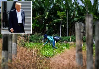 טראמפ משיק ויזה חדשה לעובדים חוקיים - ומחדד: אין חנינה לשוהים בלתי חוקיים