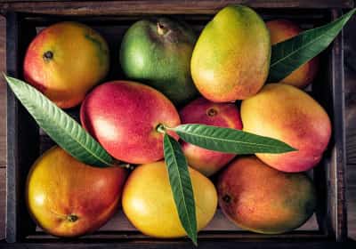 אונ' בקליפורניה בדקה - ומצאה: מנגו מדי יום עשוי לשפר את בריאות הלב