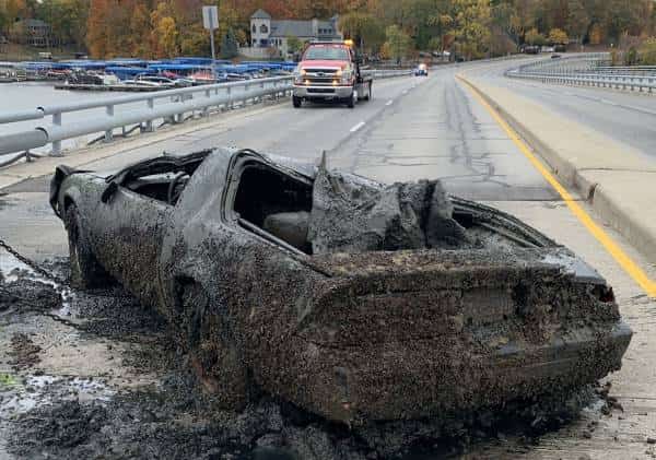 דייג יצא לעוד יום של דיג שגרתי: לשלל כזה הוא לא ציפה