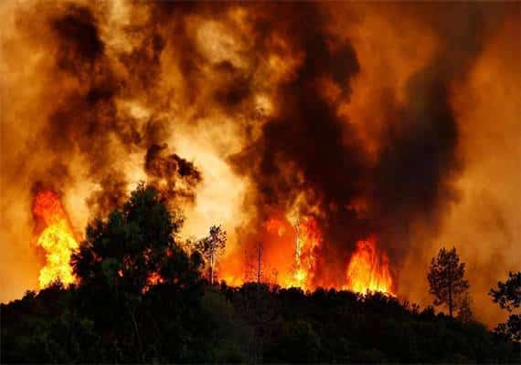 בעקבות התפשטות שריפת הענק: מושל קליפורניה הכריז על מצב חירום