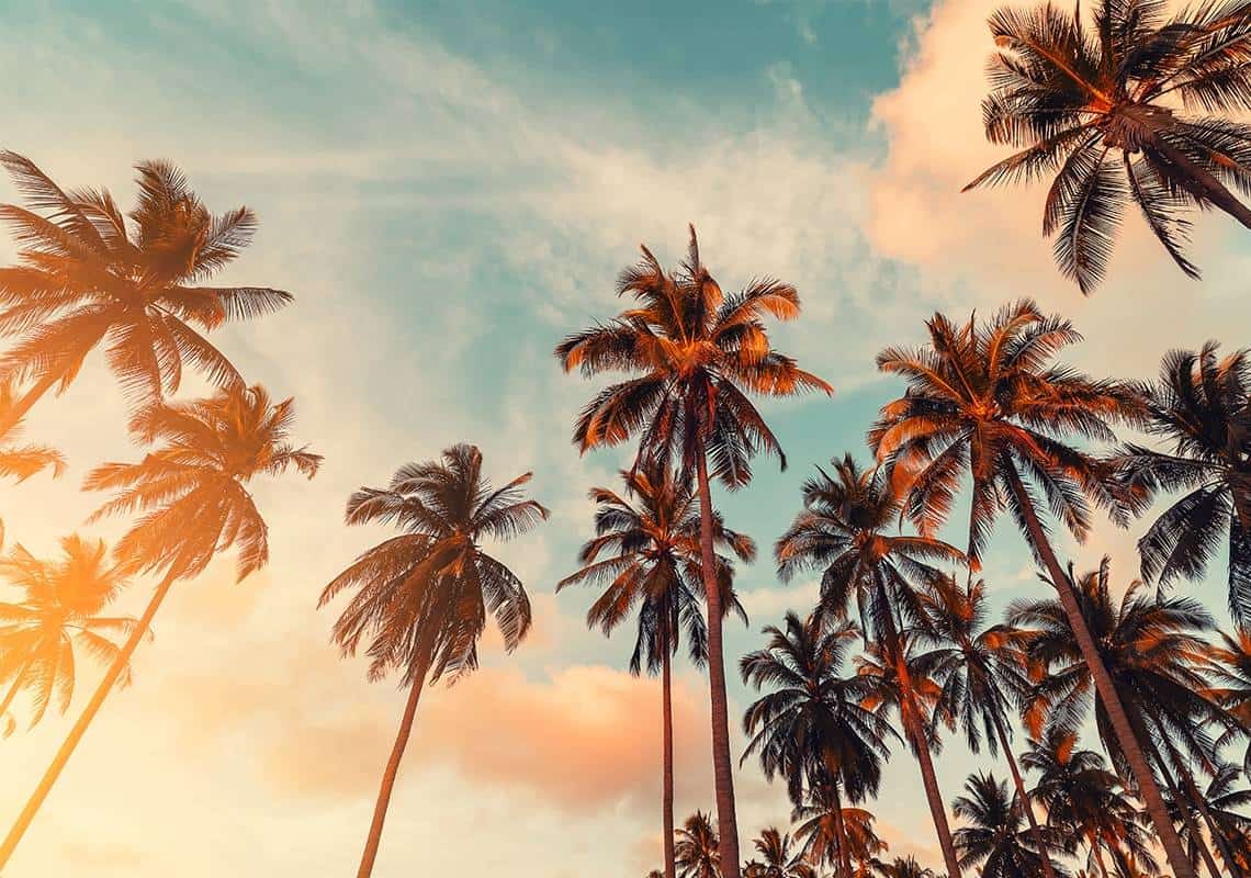 המדינה המוזהבת או הכושלת? כך נופץ מיתוס הבריחה ההמונית מקליפורניה