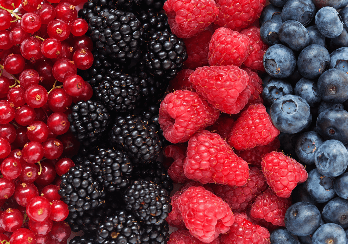 ׳החוקרים קובעים׳: אכילת פירות יער הכרחית למניעת דמנציה ואלצהיימר