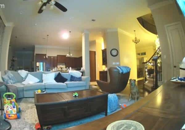 משפחה בקלבסס טוענת: האקרים פרצו למצלמות האבטחה הביתיות שלנו