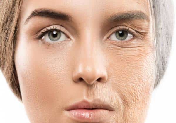 התגלה מעיין הנעורים הנצחי? מחקר ישראלי עשה היסטוריה: "לראשונה בתולדות אדם עצרנו את תהליך הזדקנות המולקולות"