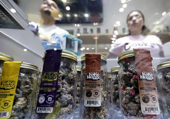  מתקן ענק למכירת מריחואנה על שטח של  24,000  נפתח במחוז לוס-אנג'לס