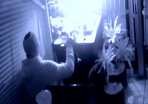 "מפעל חיים של 32 שנה הלך לטימיון": הפטור מוויזה לאזרחי צ'ילה הוליד תופעה שמשליטה טרור על לוס אנג'לס וסביבתה