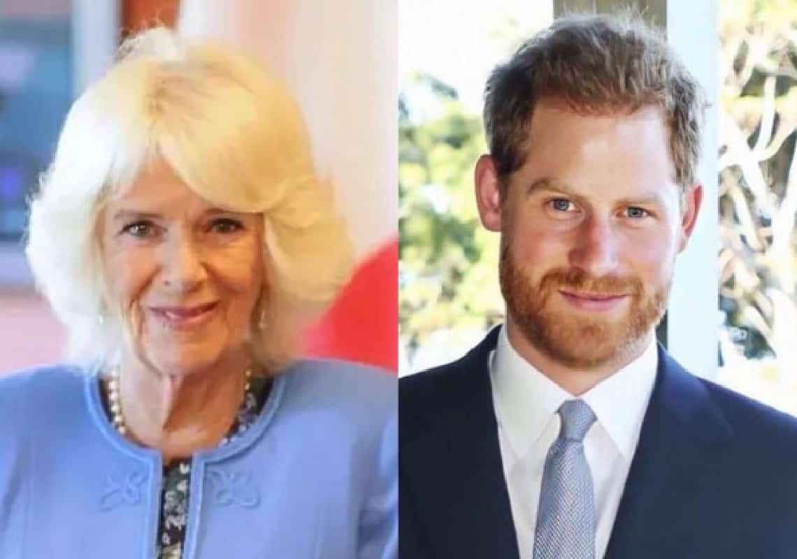 גורם בבית המלוכה חושף: ״אמו החורגת של הארי תמיד תהיה בעיניו מי שהובילה לגירושים״