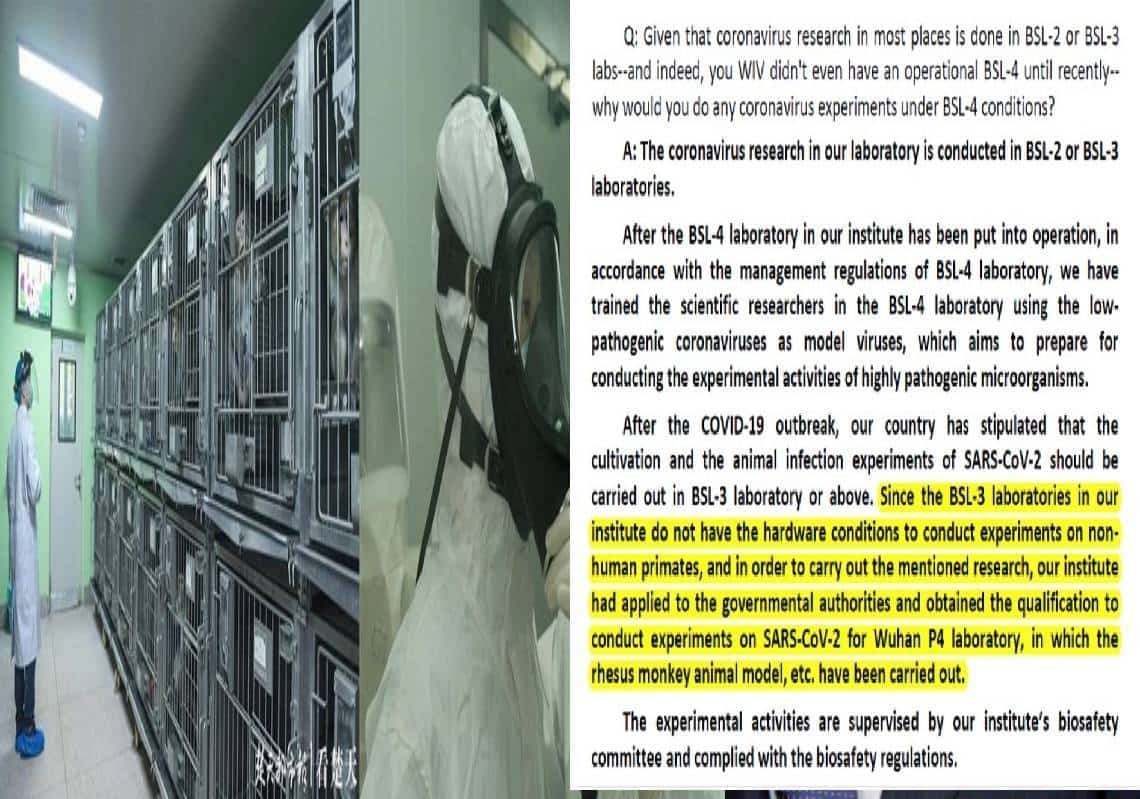 ד"ר לורנס סלין: "הנגיף לא יצא ממעבדת ווהאן, אלא בשיתוף פעולה בין הצבא הסיני וקמפוס אוניברסיטת ווהאן"