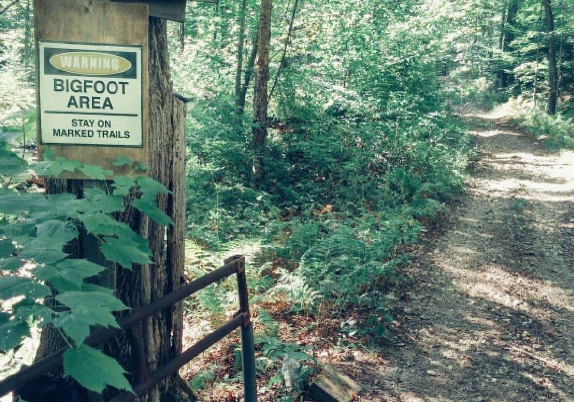 מדינה אחת בארצות-הברית מציעה: "פרס של 2.1 מיליון דולרים למוצאי ביגפוט"