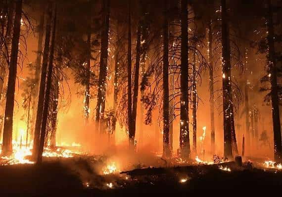 קליפורניה: ספקית החשמל והגז PG&E עשויה להיות מואשמת בהריגה בשל השריפות