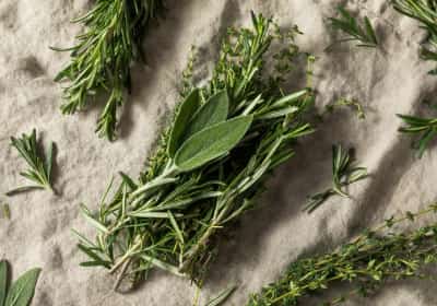 לא רק לטעם: תרכובת במרווה ורוזמרין עשויה להילחם באלצהיימר