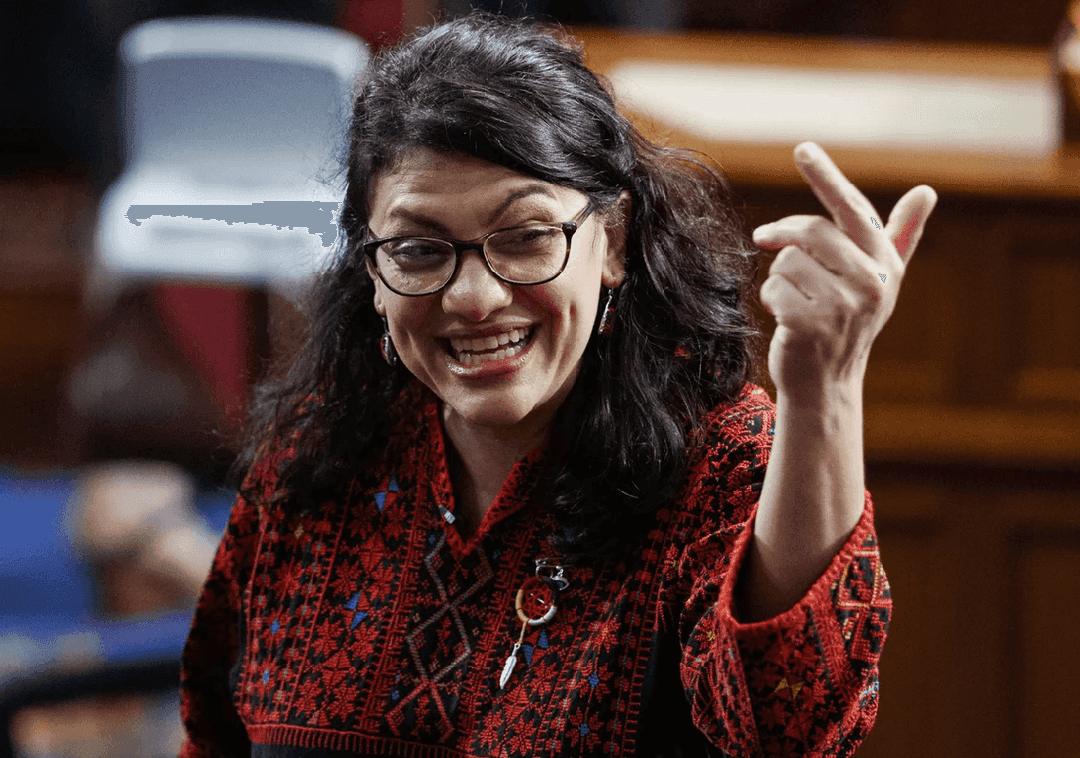 רשידה טליב לוקחת בעלות: "אי אפשר להיות פרוגרסיבי ובמקביל לתמוך בממשלת ישראל"