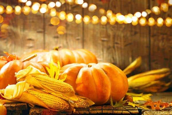 כבר הסתיו עכשיו: כך שרים חברי להקת 'תיסלם' בלי כל קשר להזמנה הזו לפסטיבל בלוס אנג'לס  