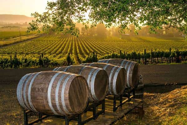 תענוג: חופשה כפרית-בסטייל ממתינה לכם באזור ארץ היין של סנטה ברברה 