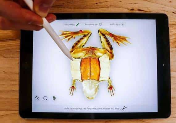 אפל השיקה אייפד חדש המיועד ומסובסד עבור אנשי חינוך הכולל אפליקצית ניתוח וירטואלי של צפרדע