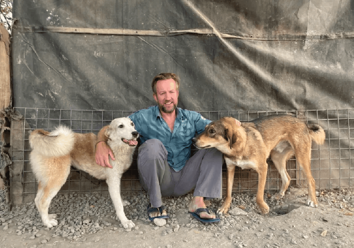 החייל לשעבר שפועל לחלץ כ-170 חתולים וכלבים מאפגניסטן