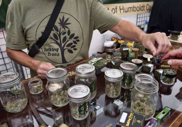 שיעור צרכני הקנאביס בקרב סטודנטים בארה"ב רושם שיא של 35 שנים