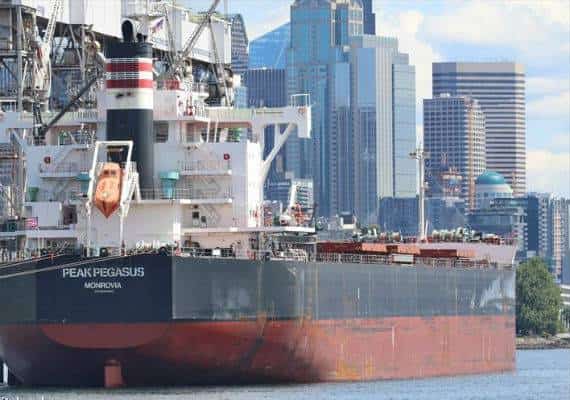 בעקבות מכסי המגן: חודש לאחר שהגיעה לסין, אוניה שנושאת פולי סויה נכנסה לנמל