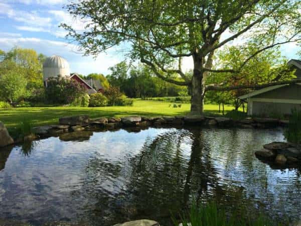 הביקוש לחופשות גואה כמו גם מחירי הטיסות וחדרי המלון. אז לאן אפשר לנסוע בחודש יוני?