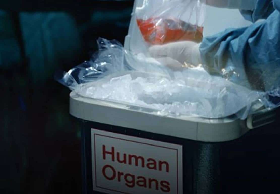 כך הפכה אוקראינה לבירת הסחר באיברים של אירופה‏