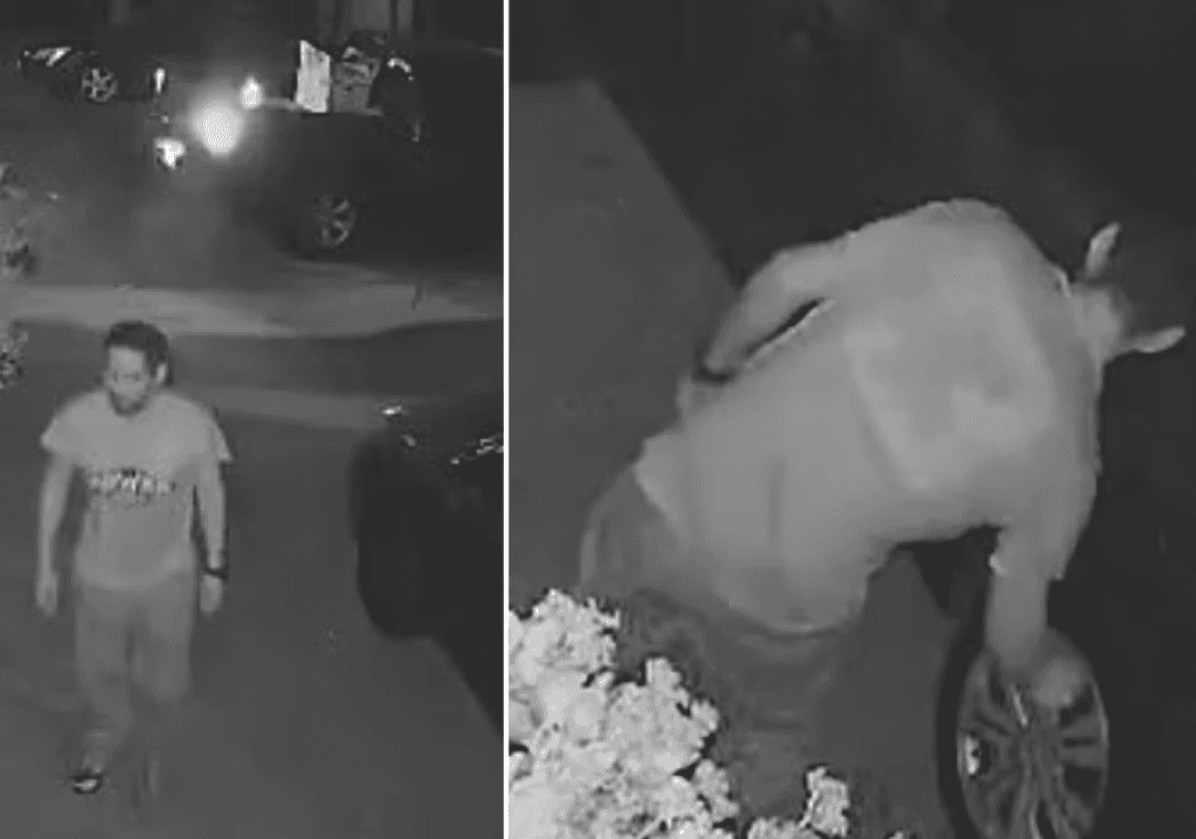  "אין לנו מושג מי הוא": גבר מסתורי מטריד שכונה שלמה בלוס אנג'לס 