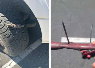 פסי מסמרים תוצרת בית ופשיטות פדרליות בוואלי : ארבעה נעצרו בחשד לחבלה בפעילות סוכני הגירה