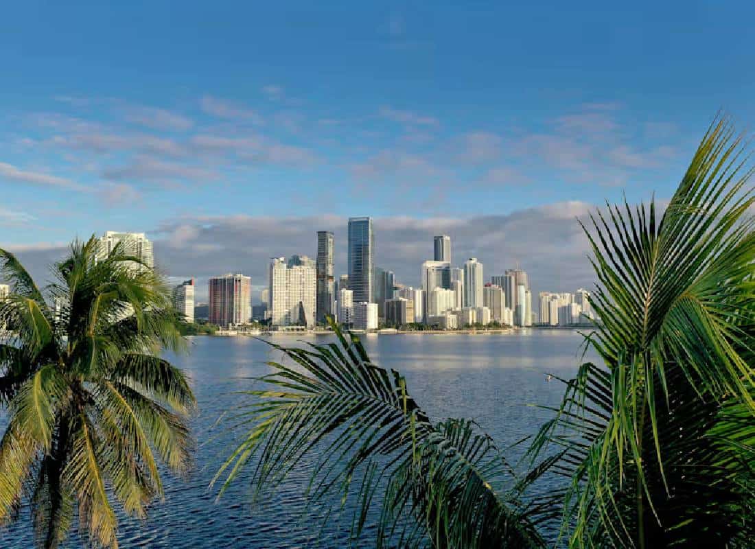 "אנגלית מיאמית": השפה החדשה שנולדה בפלורידה