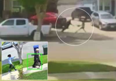 בת 85 עם 16 תפרים בראש: שוד אלים לאור יום בלוס אנג'לס