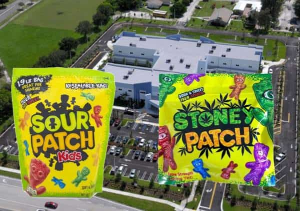  סוכריות מכילות מריחואנה חולקו בבית ספר בפלורידה: תלמידים אושפזו