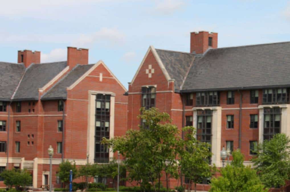 אוניברסיטה אמריקאית דורשת מסטודנטים לעבור קורס 'גזענות נגד שחורים' כדי לסיים את לימודיהם‏