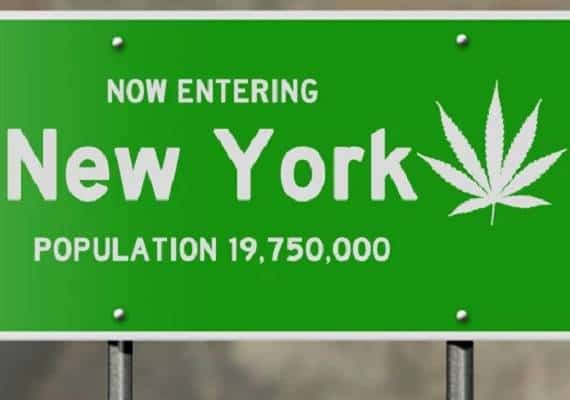 ניו יורק: קואומו שינה דעתו - יציע להתיר שימוש אישי בקנאביס