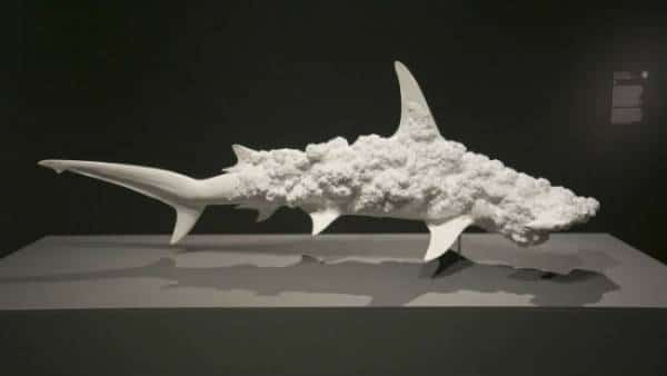 בתוך מאבק החיים, עדיין יש יופי: יצירות האמנות של אריק סוונסון הן סיבה טובה לנסוע להונולולו 