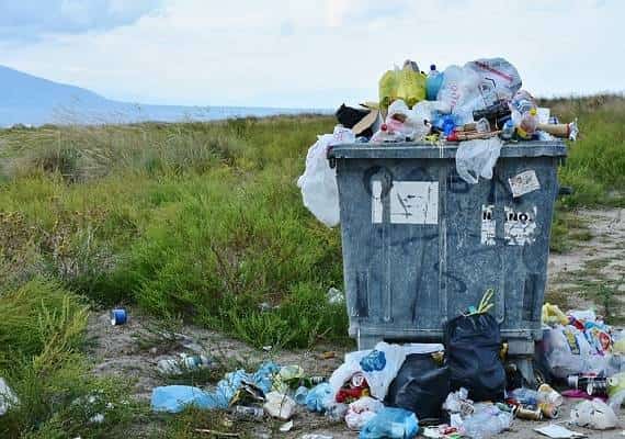 נזקי ההשבתה: כך נראה פארק לאומי בלי עובדים וצוות תחזוקה 