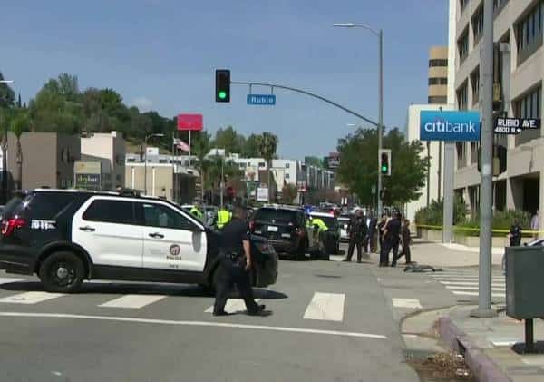 2 שוטרים פצועים במרדף בלב ואלי לוס אנג'לס