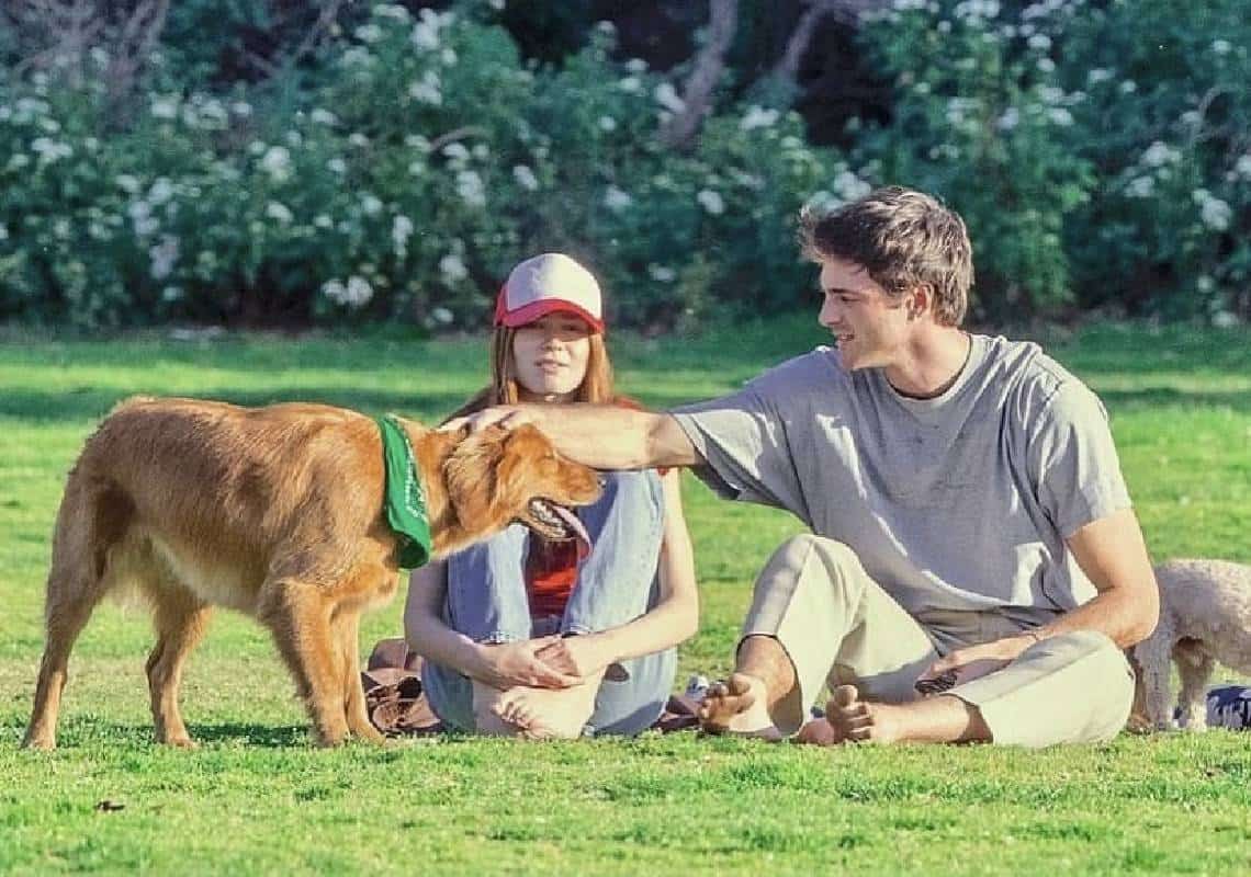 המעריצות שבורות לב: בת הזוג החדשה של כוכב ״אופוריה״