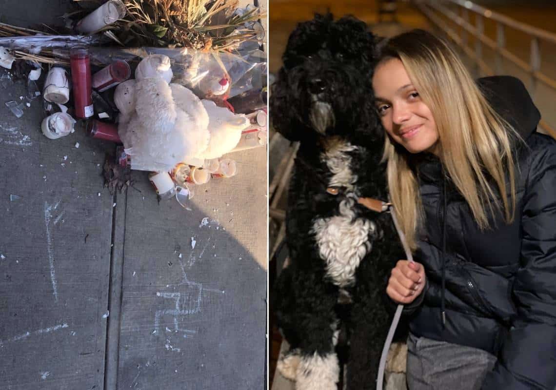 תעלומה בניו יורק: מי צייר צלב קרס על אנדרטה לזכר נערה שנדרסה למוות?