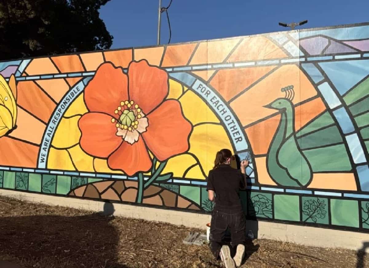 פרס של אלפי דולרים על ראשו של מחולל צלבי קרס על בית הכנסת: "לא נהפוך לניו יורק" - בכירה בלוס אנג'לס מזהירה  